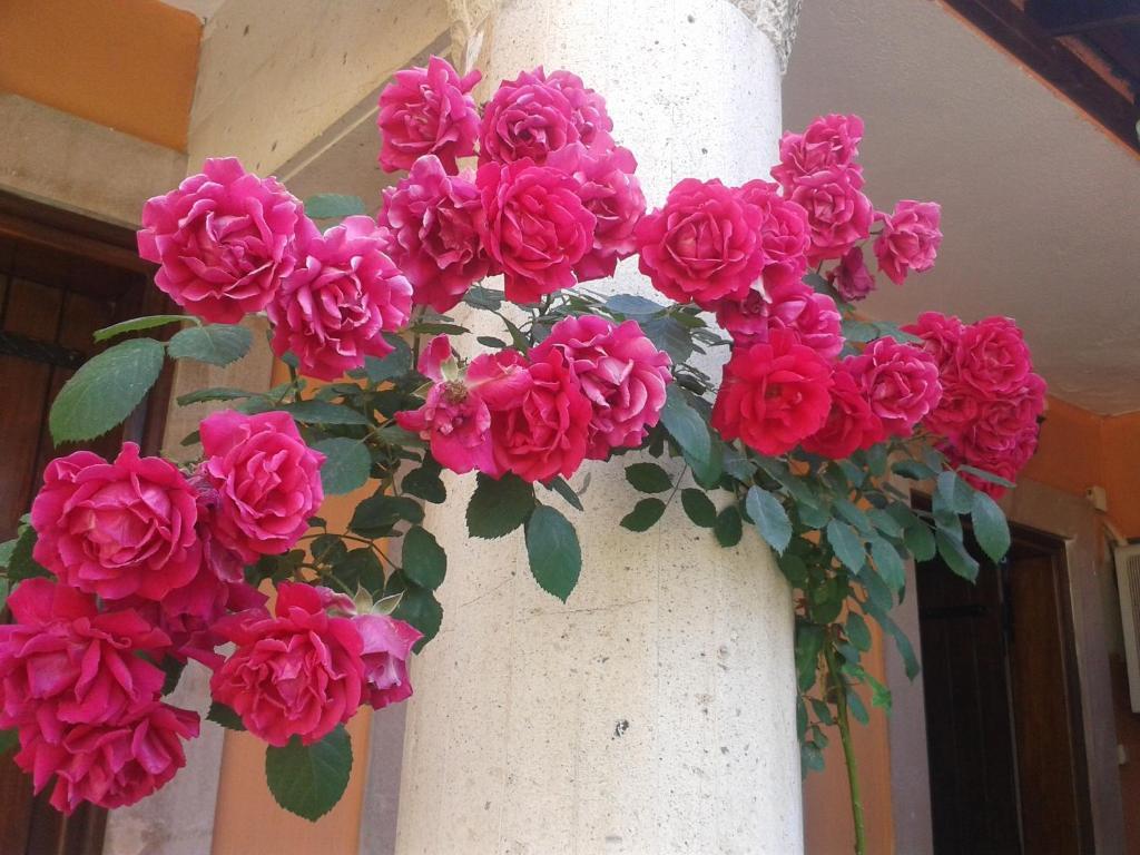 ברגאמה Akropolis Guest House מראה חיצוני תמונה
